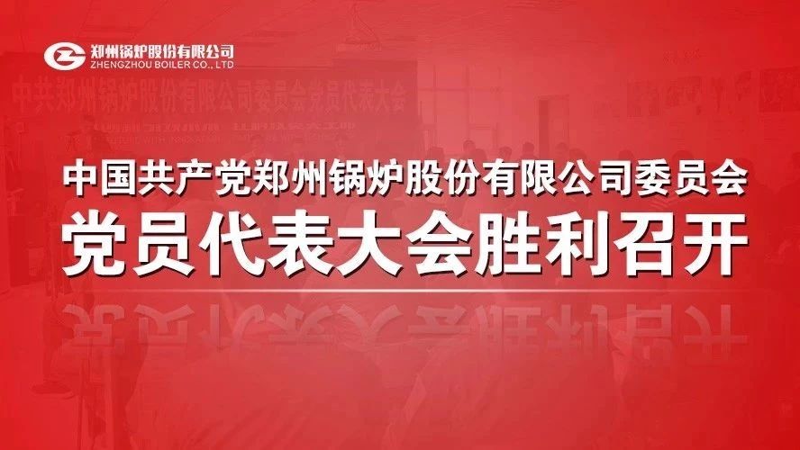 中共和记官方网站委员会党员代表大会顺遂召开